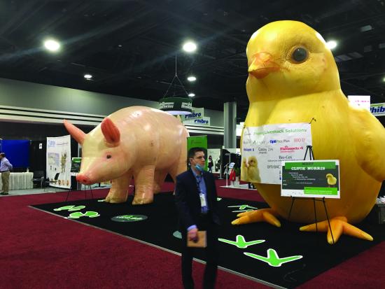 A trade show stand with giant inflatable pig and chick models advertising poultry and livestock solutions.
