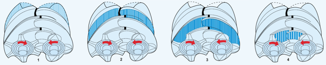Screw blower compression cycle